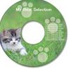 子猫