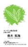 お茶の葉2