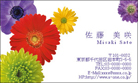 Flowers4