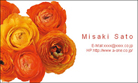 Flowers5