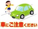 車にご注意ください2