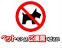 動物4