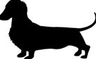 animal48