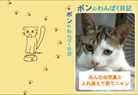 ケース2
